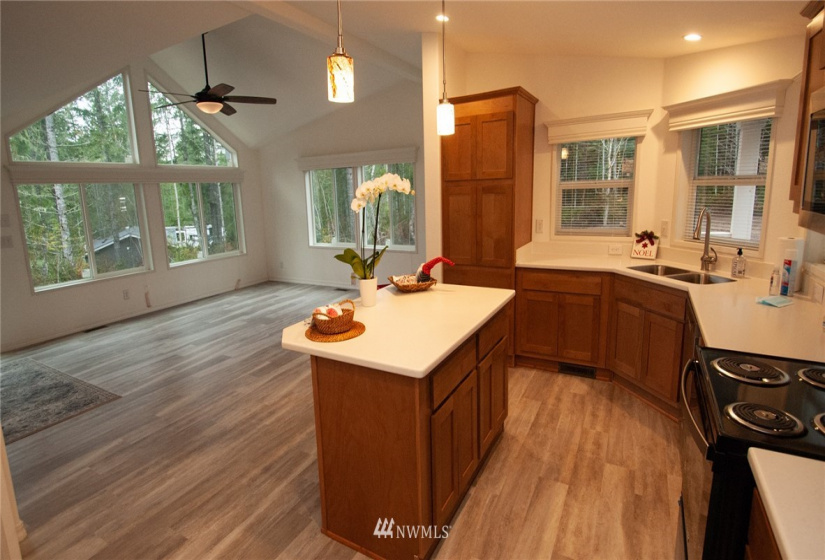 1111 Hurd, Belfair, Washington 98528, 3 Bedrooms Bedrooms, ,2 BathroomsBathrooms,Residential,For Sale,TR 13 OF SURVEY 4/142 TR C OF SP #1161,Hurd,NWM1871810
