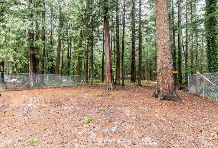 8279 Golden Valley, Maple Falls, Washington 98266, 3 Bedrooms Bedrooms, ,1 BathroomBathrooms,Residential,For Sale,PARADISE LAKES COUNTRY CLUB DIV NO 7,Golden Valley,NWM1871596