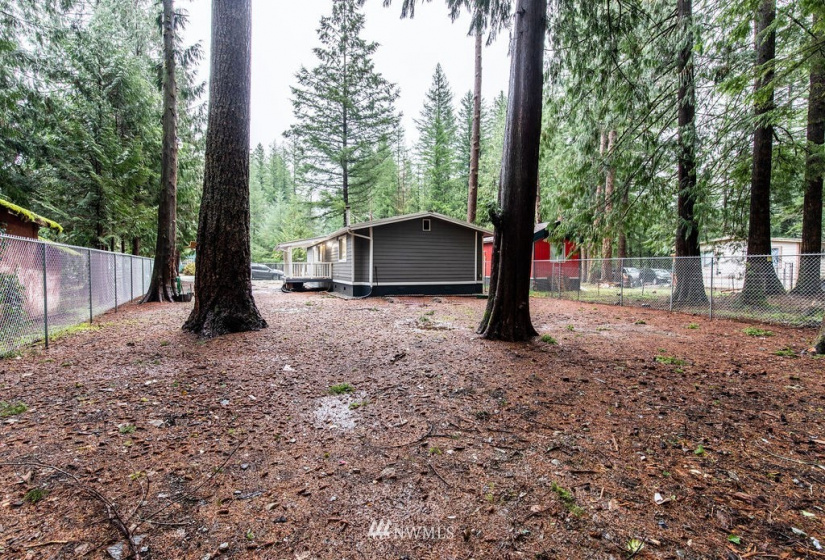 8279 Golden Valley, Maple Falls, Washington 98266, 3 Bedrooms Bedrooms, ,1 BathroomBathrooms,Residential,For Sale,PARADISE LAKES COUNTRY CLUB DIV NO 7,Golden Valley,NWM1871596