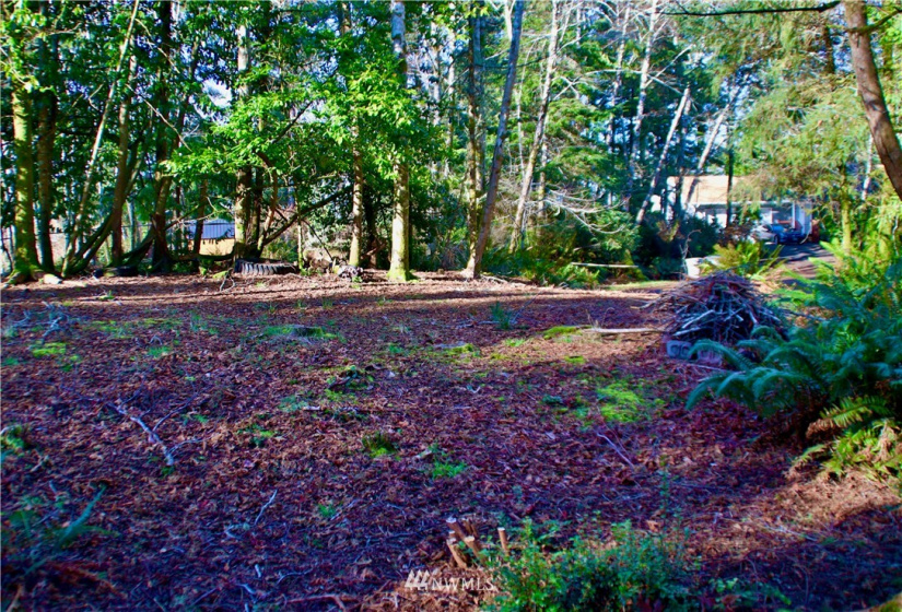 300 Corning, Ocean Shores, Washington 98569, ,Land,For Sale,23,Corning,NWM1871844