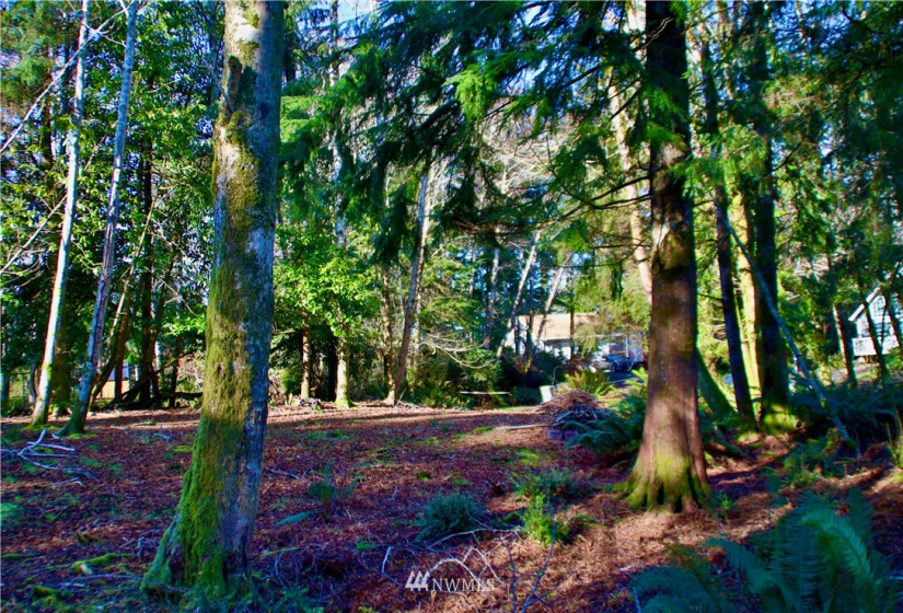 300 Corning, Ocean Shores, Washington 98569, ,Land,For Sale,23,Corning,NWM1871844
