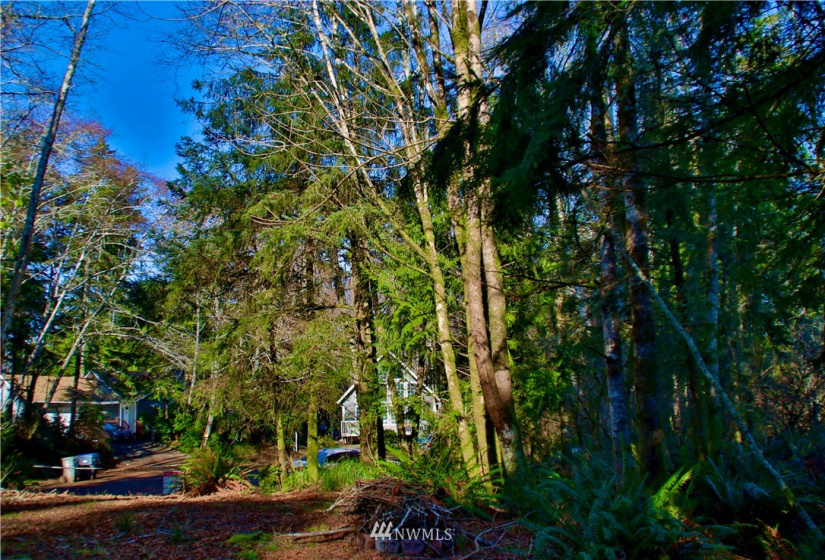 300 Corning, Ocean Shores, Washington 98569, ,Land,For Sale,23,Corning,NWM1871844