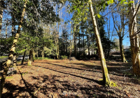 300 Corning, Ocean Shores, Washington 98569, ,Land,For Sale,23,Corning,NWM1871844