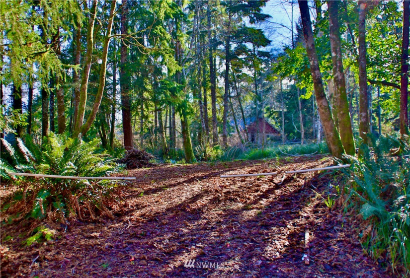 300 Corning, Ocean Shores, Washington 98569, ,Land,For Sale,23,Corning,NWM1871844