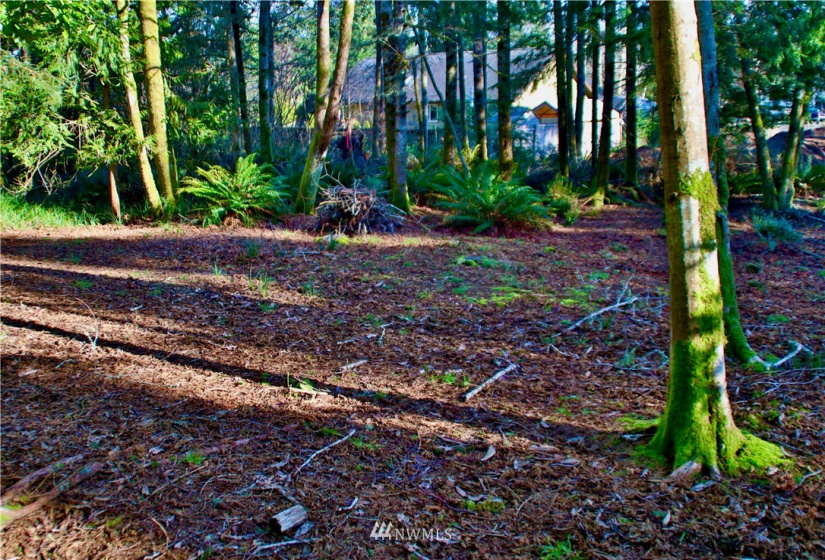 300 Corning, Ocean Shores, Washington 98569, ,Land,For Sale,23,Corning,NWM1871844