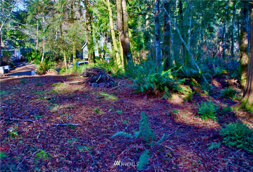 300 Corning, Ocean Shores, Washington 98569, ,Land,For Sale,23,Corning,NWM1871844