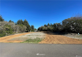 930 Wawona, Ocean Shores, Washington 98569, ,Land,For Sale,20,Wawona,NWM1871842