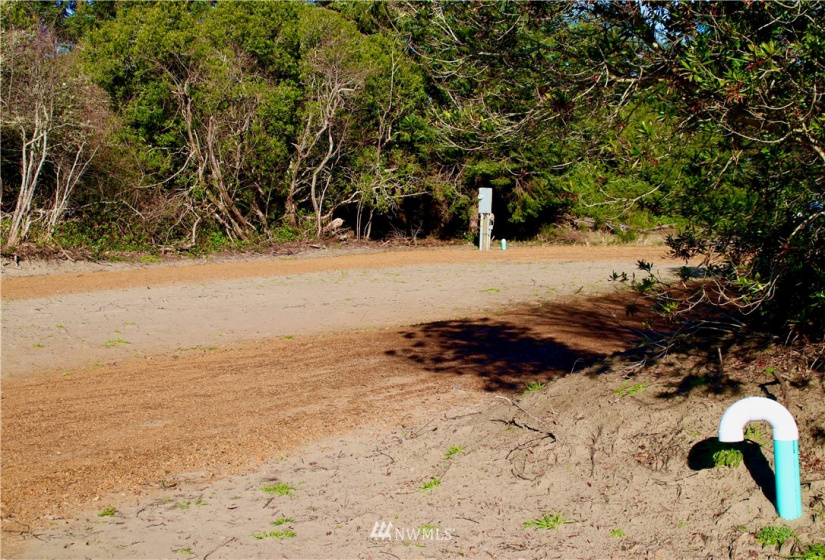 930 Wawona, Ocean Shores, Washington 98569, ,Land,For Sale,20,Wawona,NWM1871842