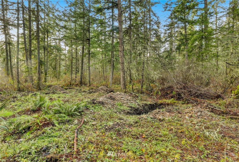 13826 Rainier Rd, Rainier, Washington 98576, ,Land,For Sale,Rainier Rd,NWM1871959