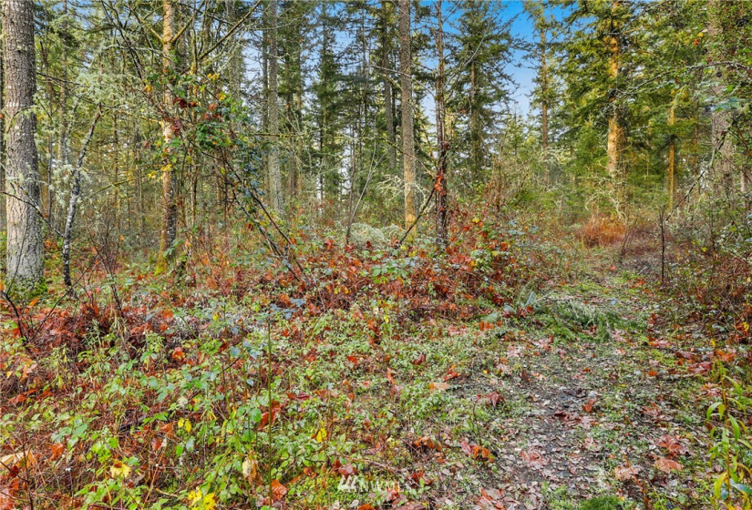 13826 Rainier Rd, Rainier, Washington 98576, ,Land,For Sale,Rainier Rd,NWM1871959