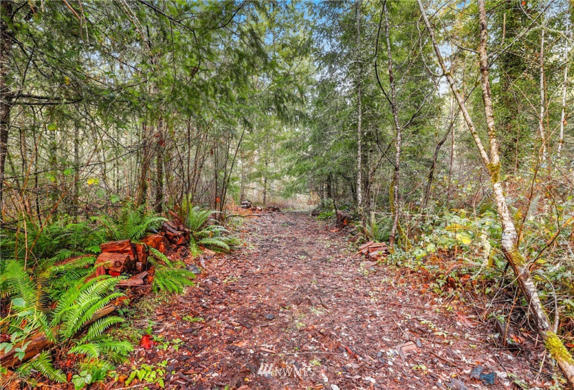 13826 Rainier Rd, Rainier, Washington 98576, ,Land,For Sale,Rainier Rd,NWM1871959
