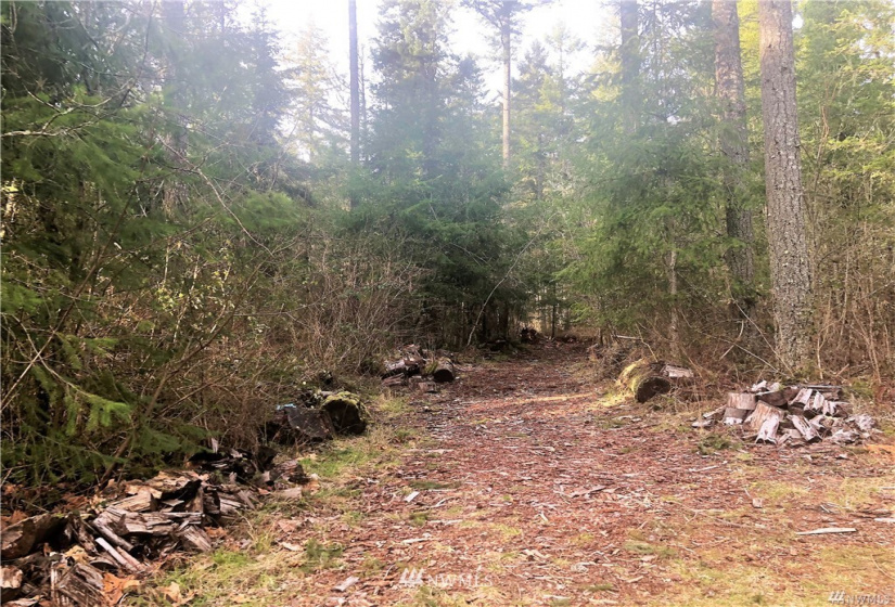13826 Rainier Rd, Rainier, Washington 98576, ,Land,For Sale,Rainier Rd,NWM1871959