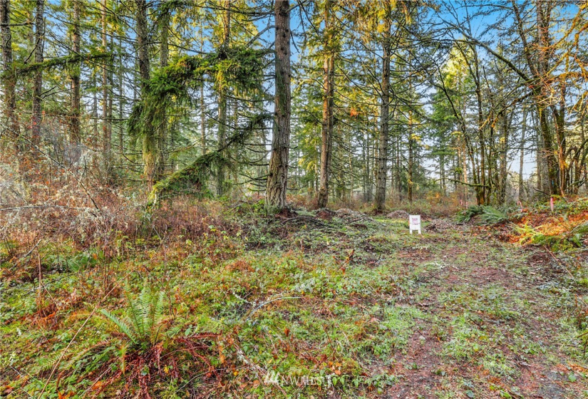 13826 Rainier Rd, Rainier, Washington 98576, ,Land,For Sale,Rainier Rd,NWM1871959
