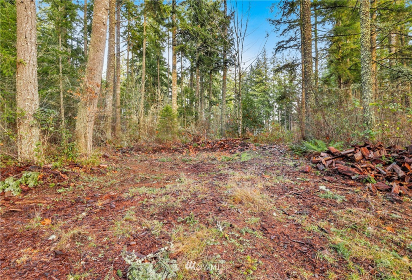 13826 Rainier Rd, Rainier, Washington 98576, ,Land,For Sale,Rainier Rd,NWM1871959