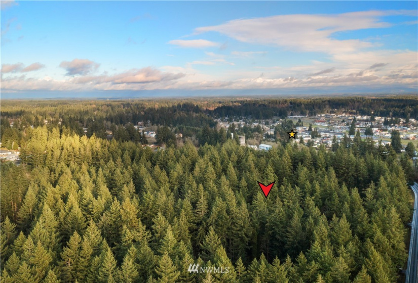 13826 Rainier Rd, Rainier, Washington 98576, ,Land,For Sale,Rainier Rd,NWM1871959