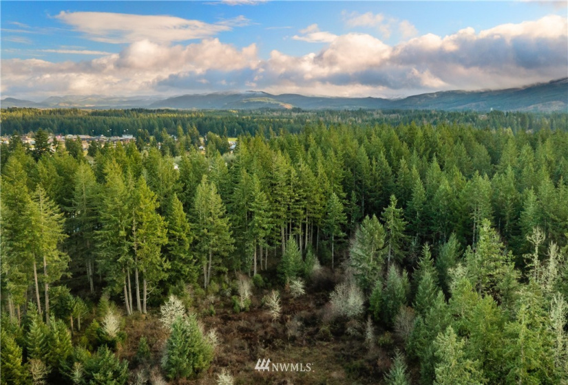 13826 Rainier Rd, Rainier, Washington 98576, ,Land,For Sale,Rainier Rd,NWM1871959