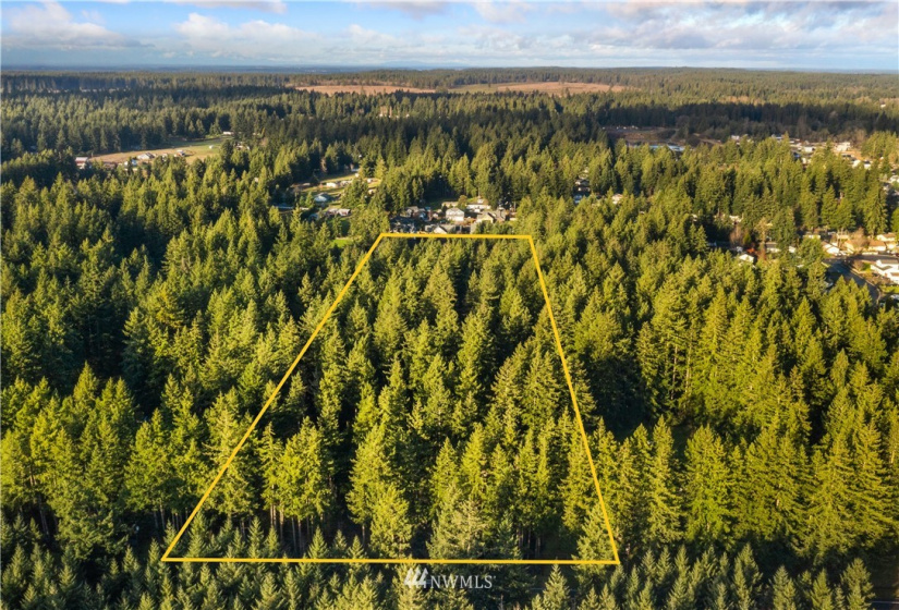13826 Rainier Rd, Rainier, Washington 98576, ,Land,For Sale,Rainier Rd,NWM1871959