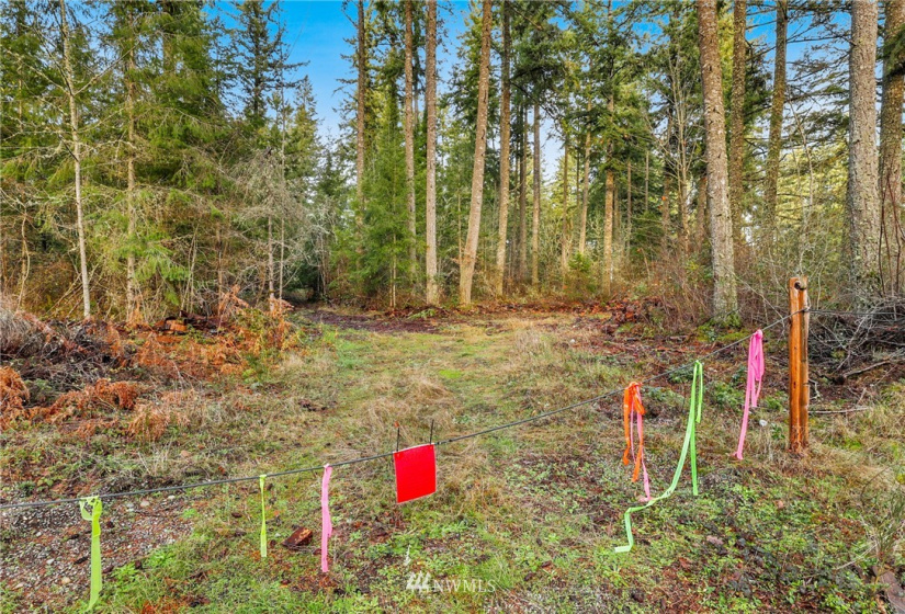 13826 Rainier Rd, Rainier, Washington 98576, ,Land,For Sale,Rainier Rd,NWM1871959