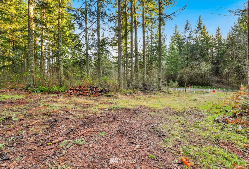 13826 Rainier Rd, Rainier, Washington 98576, ,Land,For Sale,Rainier Rd,NWM1871959