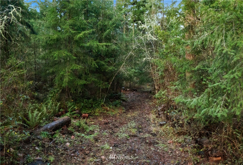 13826 Rainier Rd, Rainier, Washington 98576, ,Land,For Sale,Rainier Rd,NWM1871959