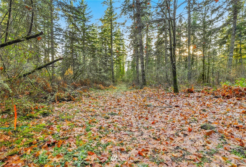 13826 Rainier Rd, Rainier, Washington 98576, ,Land,For Sale,Rainier Rd,NWM1871959