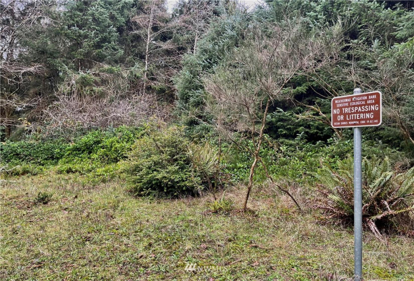 257 Duck Lake, Ocean Shores, Washington 98569, ,Land,For Sale,22,Duck Lake,NWM1870753