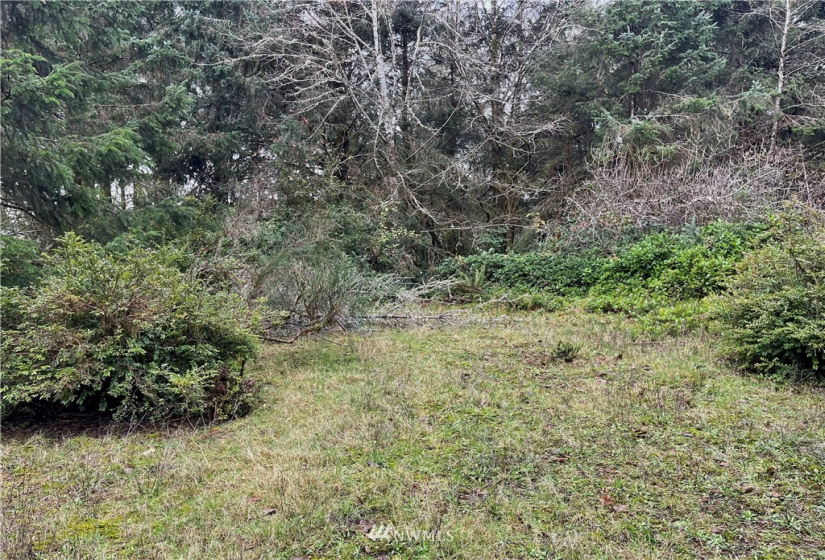 257 Duck Lake, Ocean Shores, Washington 98569, ,Land,For Sale,22,Duck Lake,NWM1870753