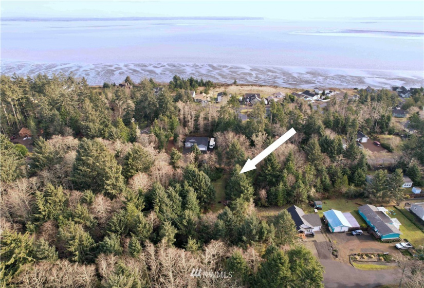 257 Duck Lake, Ocean Shores, Washington 98569, ,Land,For Sale,22,Duck Lake,NWM1870753