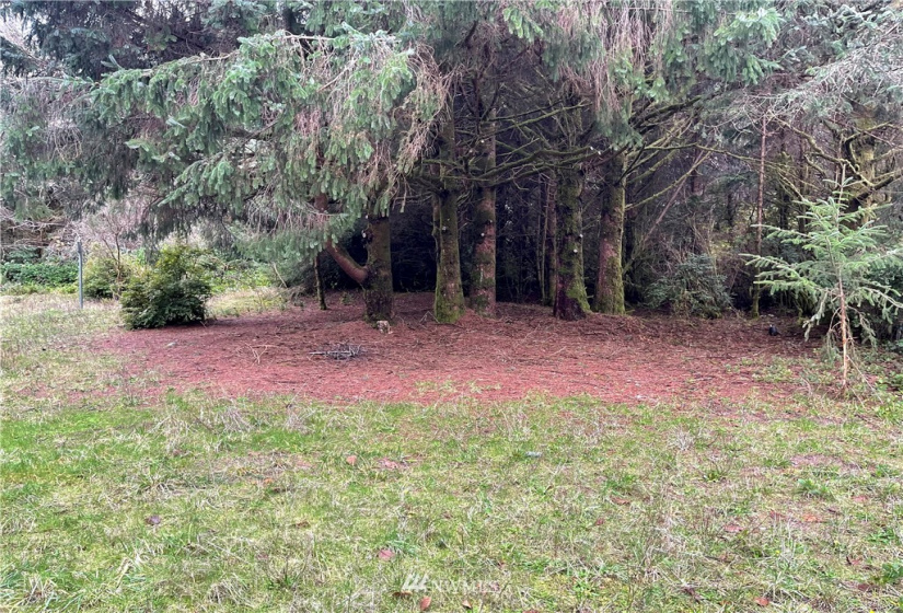 257 Duck Lake, Ocean Shores, Washington 98569, ,Land,For Sale,22,Duck Lake,NWM1870753