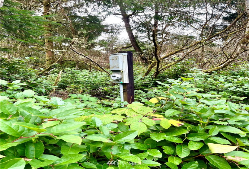 257 Duck Lake, Ocean Shores, Washington 98569, ,Land,For Sale,22,Duck Lake,NWM1870753