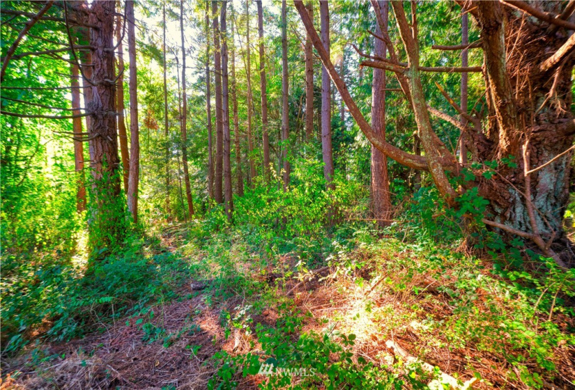 1890 Benson, Point Roberts, Washington 98281, 3 Bedrooms Bedrooms, ,2 BathroomsBathrooms,Residential,For Sale,Benson,NWM1872079