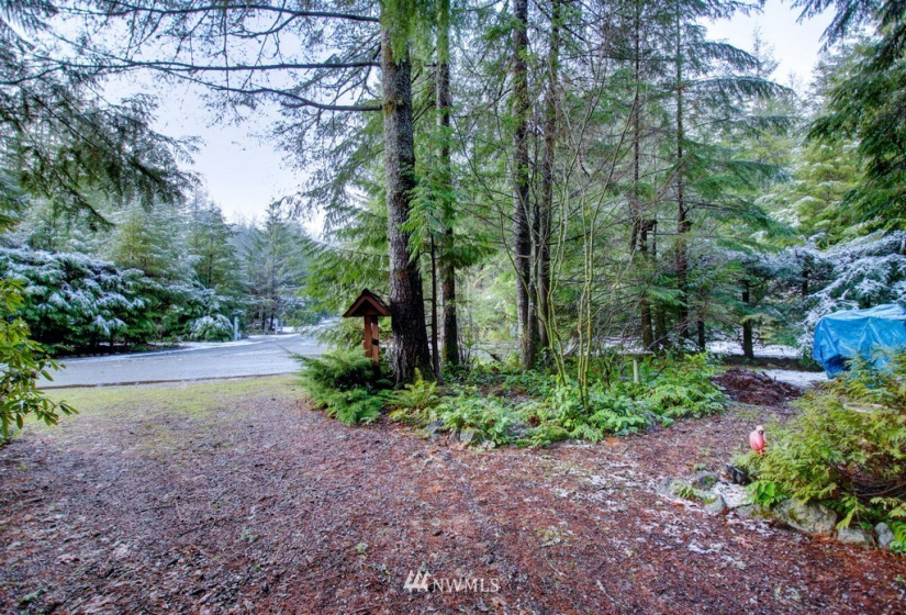 105 4 Christmas Tree, Deming, Washington 98244, 1 Bedroom Bedrooms, ,1 BathroomBathrooms,Residential,For Sale,Christmas Tree,NWM1872009