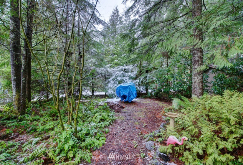 105 4 Christmas Tree, Deming, Washington 98244, 1 Bedroom Bedrooms, ,1 BathroomBathrooms,Residential,For Sale,Christmas Tree,NWM1872009