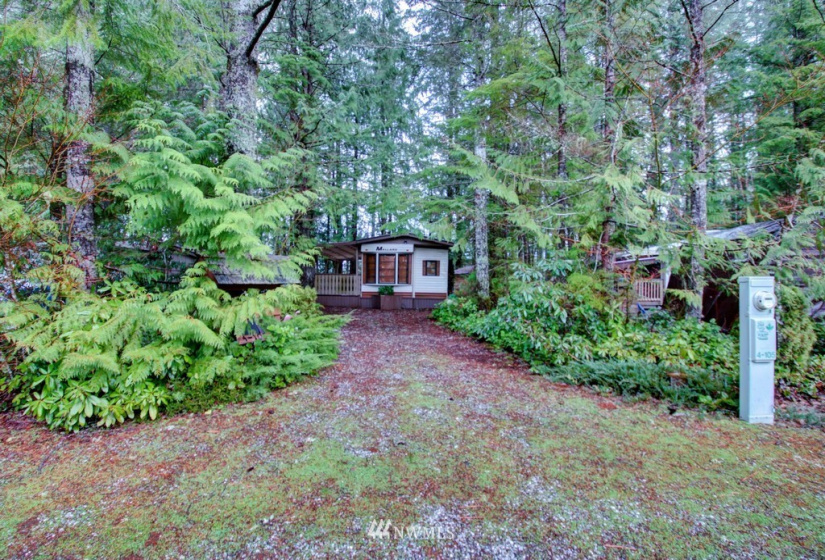 105 4 Christmas Tree, Deming, Washington 98244, 1 Bedroom Bedrooms, ,1 BathroomBathrooms,Residential,For Sale,Christmas Tree,NWM1872009