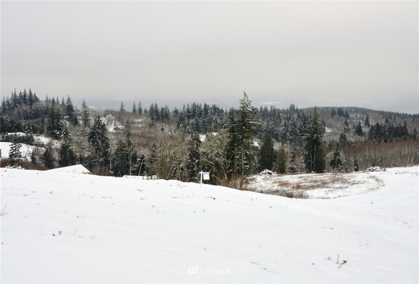 115 Powder Hill, Kalama, Washington 98625, ,Land,For Sale,Short Subdivision,Powder Hill,NWM1871503