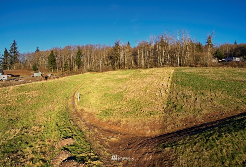115 Powder Hill, Kalama, Washington 98625, ,Land,For Sale,Short Subdivision,Powder Hill,NWM1871503