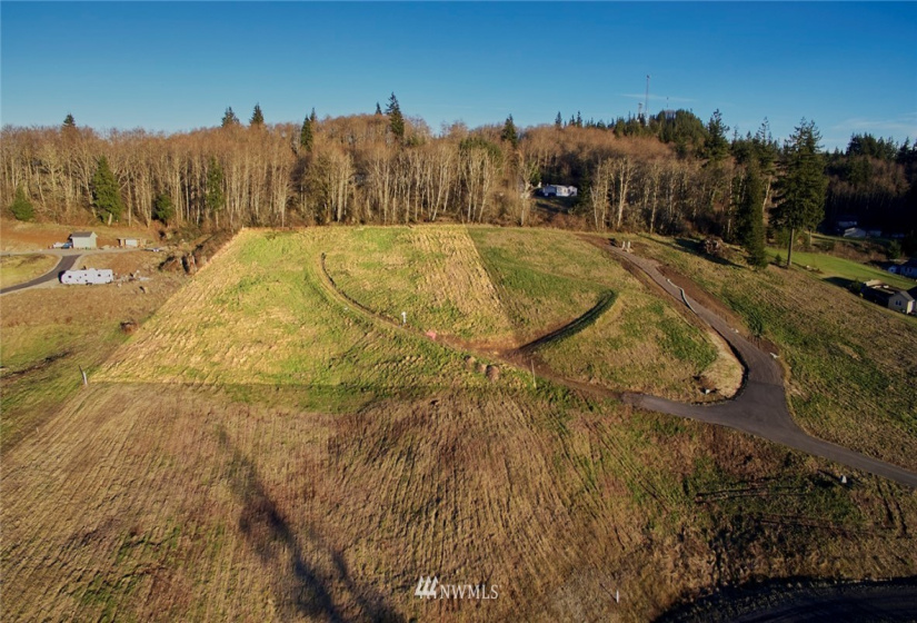 115 Powder Hill, Kalama, Washington 98625, ,Land,For Sale,Short Subdivision,Powder Hill,NWM1871503
