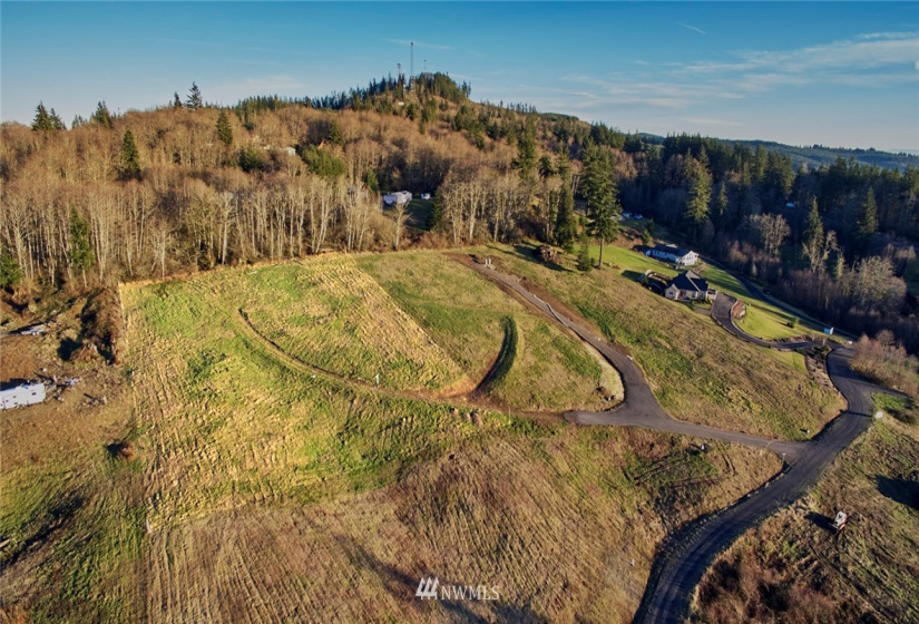 115 Powder Hill, Kalama, Washington 98625, ,Land,For Sale,Short Subdivision,Powder Hill,NWM1871503
