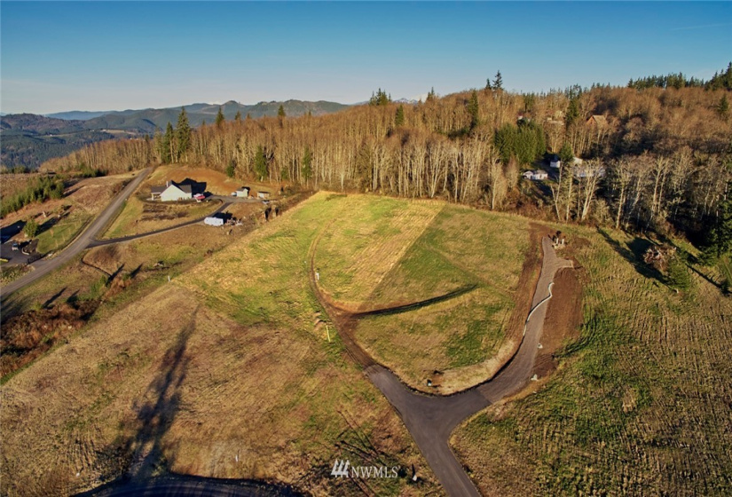 115 Powder Hill, Kalama, Washington 98625, ,Land,For Sale,Short Subdivision,Powder Hill,NWM1871503