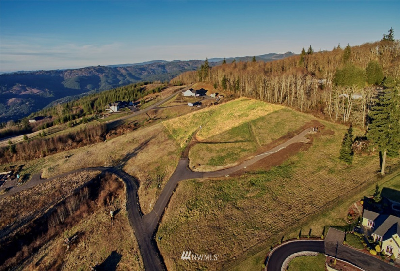 115 Powder Hill, Kalama, Washington 98625, ,Land,For Sale,Short Subdivision,Powder Hill,NWM1871503