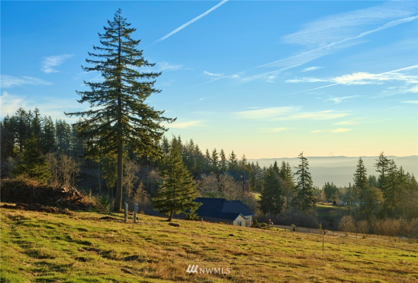 115 Powder Hill, Kalama, Washington 98625, ,Land,For Sale,Short Subdivision,Powder Hill,NWM1871503