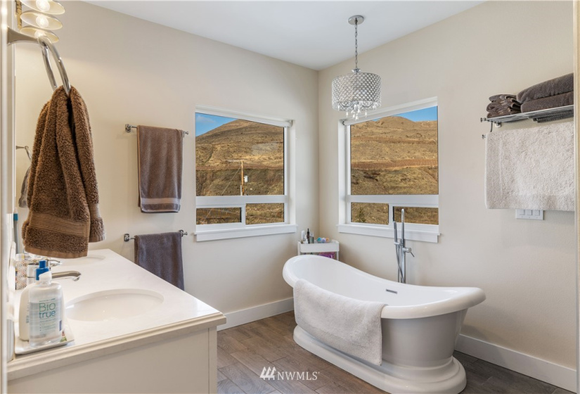 3 Steelhead, Pateros, Washington 98846, 4 Bedrooms Bedrooms, ,2 BathroomsBathrooms,Residential,For Sale,Steelhead,NWM1871706