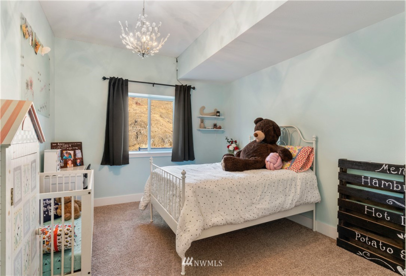 3 Steelhead, Pateros, Washington 98846, 4 Bedrooms Bedrooms, ,2 BathroomsBathrooms,Residential,For Sale,Steelhead,NWM1871706