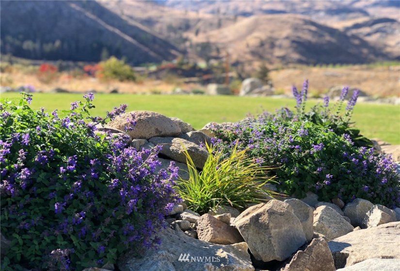 3 Steelhead, Pateros, Washington 98846, 4 Bedrooms Bedrooms, ,2 BathroomsBathrooms,Residential,For Sale,Steelhead,NWM1871706