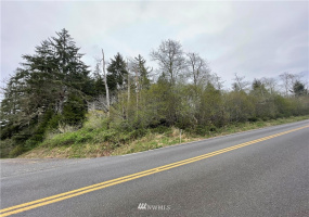 0 Bay Center, South Bend, Washington 98586, ,Land,For Sale,Bay Center,NWM1872273