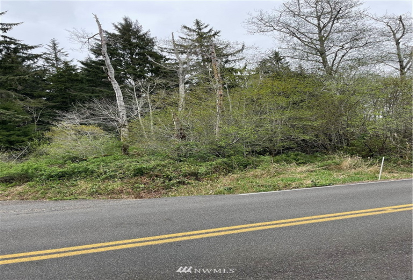 0 Bay Center, South Bend, Washington 98586, ,Land,For Sale,Bay Center,NWM1872273