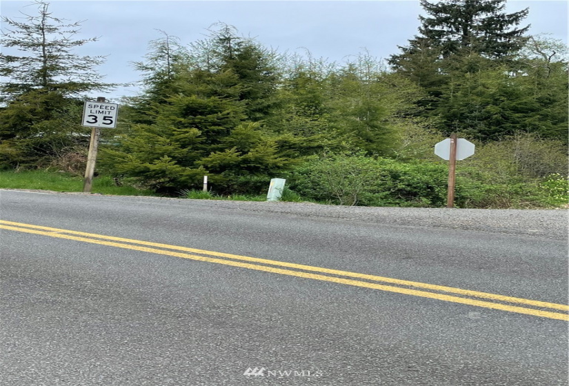 0 Bay Center, South Bend, Washington 98586, ,Land,For Sale,Bay Center,NWM1872273