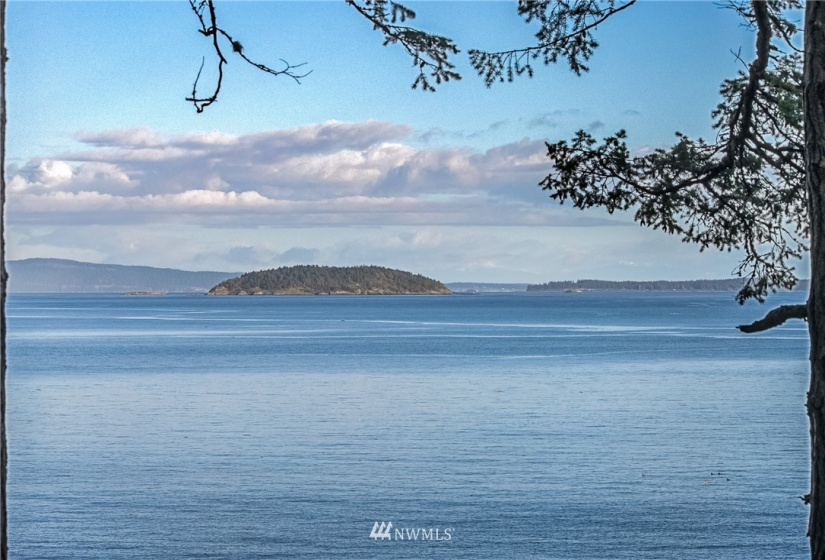 88 Willows, Friday Harbor, Washington 98250, 2 Bedrooms Bedrooms, ,2 BathroomsBathrooms,Residential,For Sale,Mineral Heights,Willows,NWM1871973