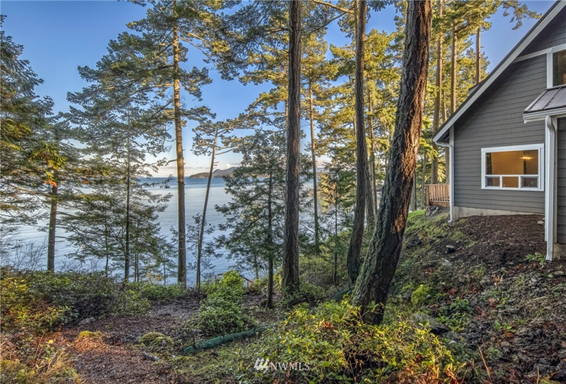 88 Willows, Friday Harbor, Washington 98250, 2 Bedrooms Bedrooms, ,2 BathroomsBathrooms,Residential,For Sale,Mineral Heights,Willows,NWM1871973