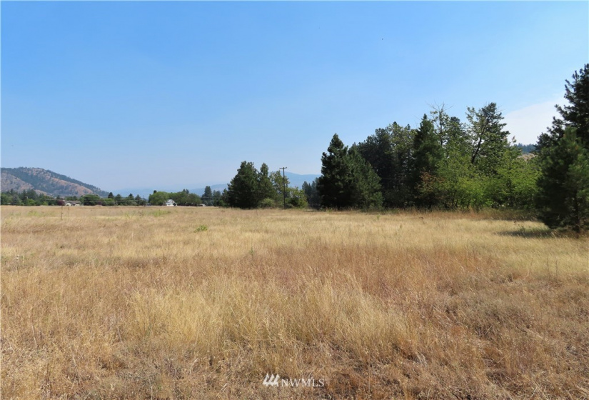 19110 Hwy 21, Danville, Washington 99121, ,Land,For Sale,BOULOS SP#92-004,Hwy 21,NWM1865175